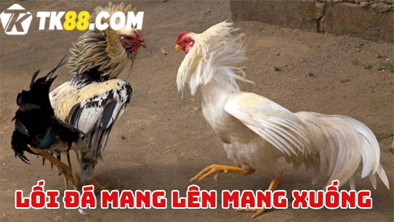 Thế đá mang lên mang xuống 