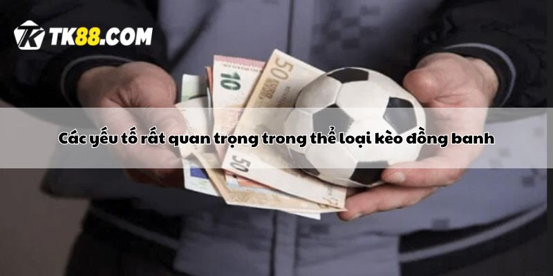 Các yếu tố rất quan trọng trong thể loại kèo đồng banh