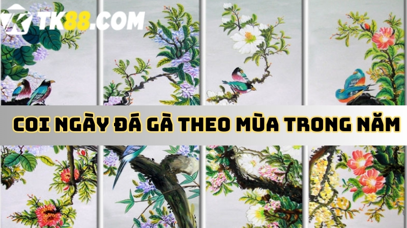 Quy tắc coi ngày đá gà theo mùa 