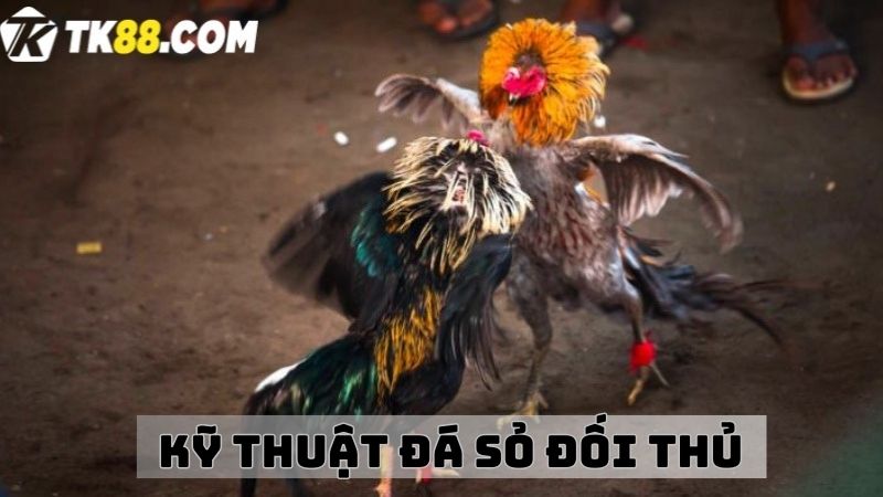 Kỹ thuật đá sỏ đối thủ 