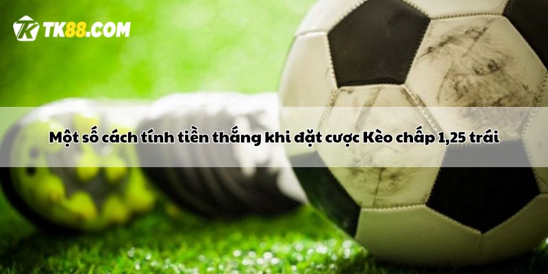 Một số cách tính tiền thắng khi đặt cược Kèo chấp 1,25 trái