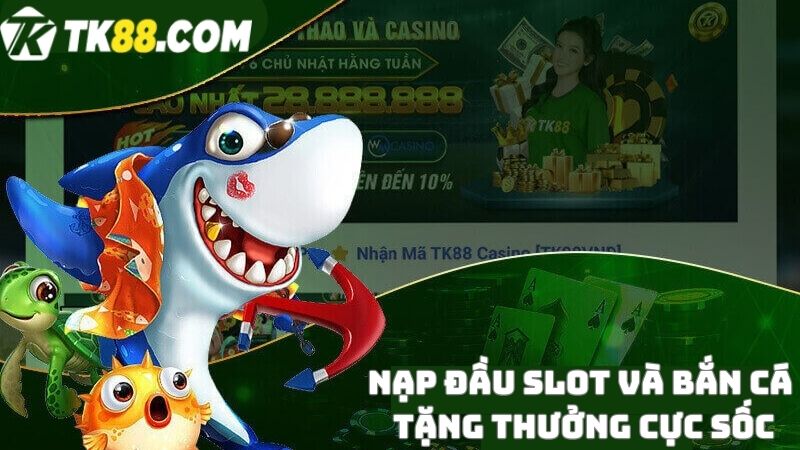 Nạp đầu slot và bắn cá tặng thưởng cực sốc cùng nhà cái TK88 