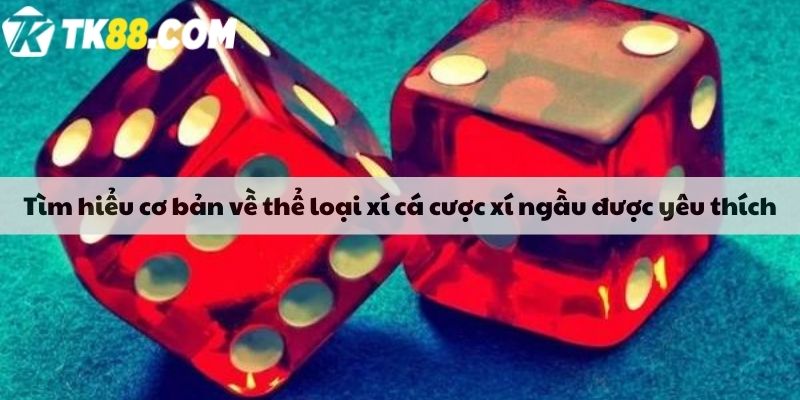 Tìm hiểu cơ bản về thể loại xí cá cược xí ngầu được yêu thích