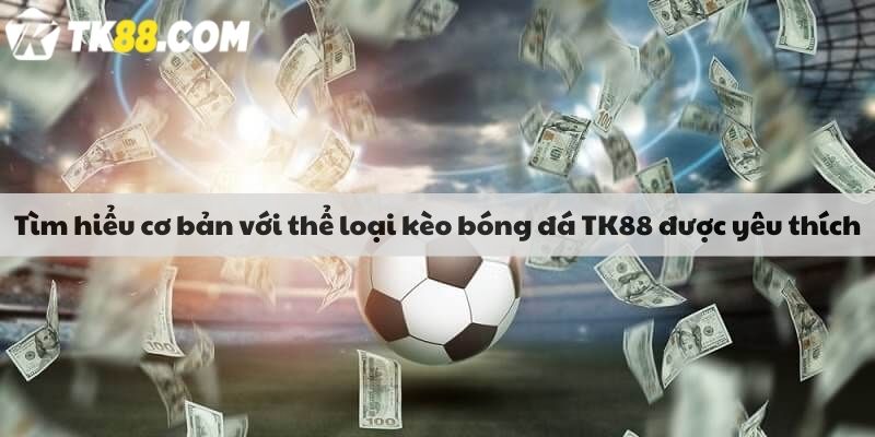 Tìm hiểu cơ bản với thể loại kèo bóng đá TK88 được yêu thích