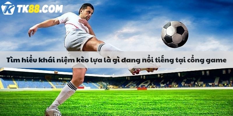 Tìm hiểu khái niệm kèo lựa là gì 