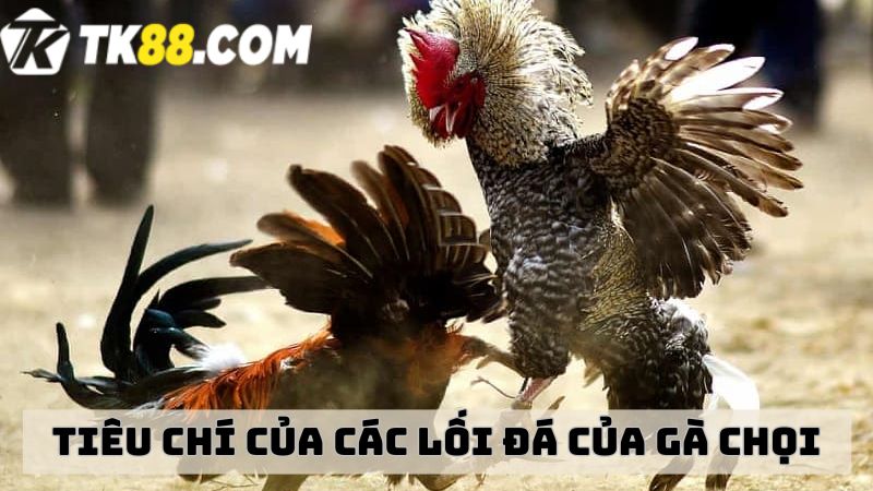 Tiêu chí khi thực hiện các lối đá của gà chọi là gì?